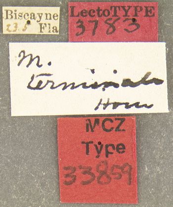 Media type: image;   Entomology 33859 Aspect: labels